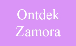 bezienswaardigheden Zamora